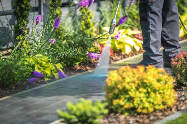 Thomaston, GA Pressure Washing Services Company